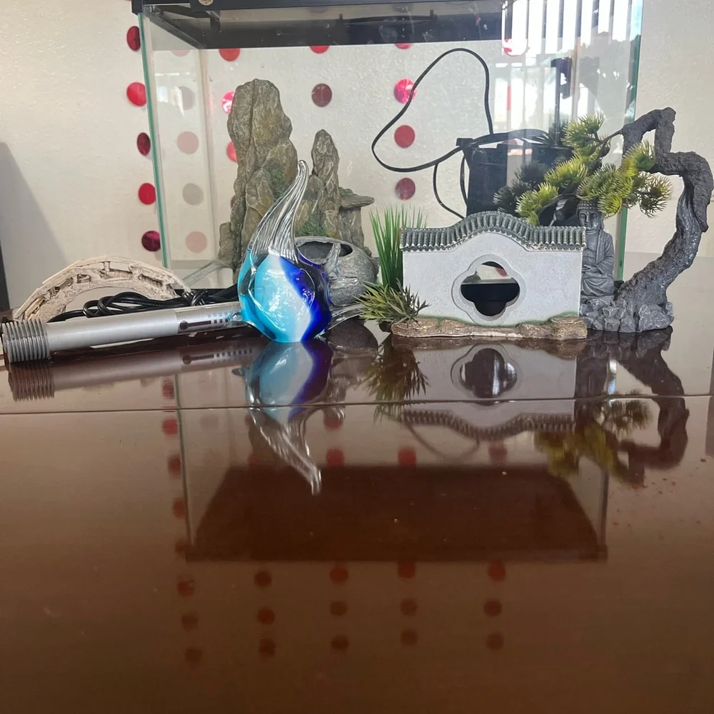 Glass Fish Tank with Accessories